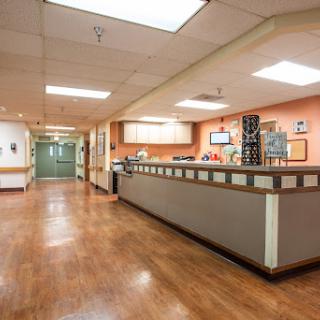 A welcoming view of the reception area in a healthcare facility.