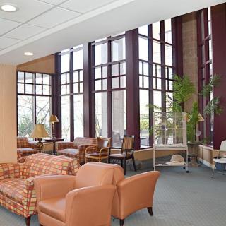 A spacious lounge area featuring comfortable seating, large windows, and indoor plants.