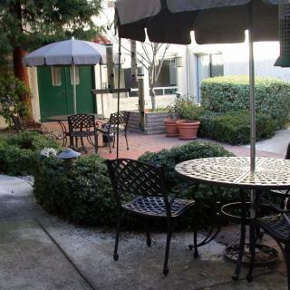 A cozy outdoor patio area with tables, chairs, and umbrellas surrounded by greenery.