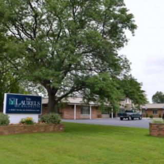 A view of a building with a large tree and sign in the foreground, situated next to a lawn and parking area.