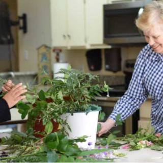Two people enjoying a gardening activity together in the kitchen.