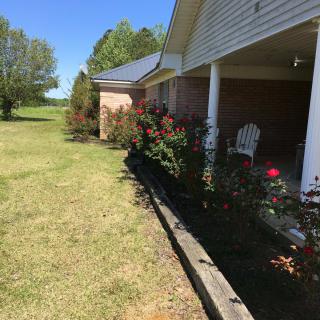 A sunny view of a house with a porch and a beautifully landscaped garden featuring blooming flowers.