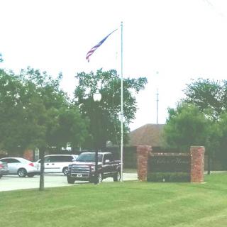 A view of a flag flying in front of a building, with parked vehicles and surrounding greenery.