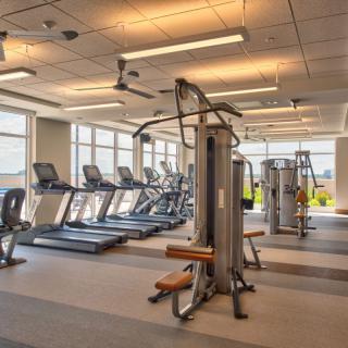 A modern gym with various exercise equipment including treadmills and weight machines.