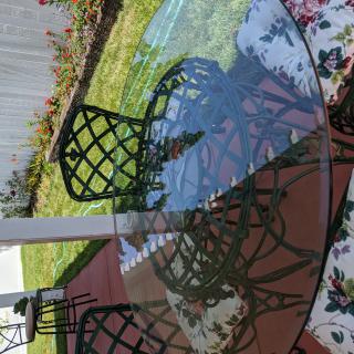 A glass patio table with metal chairs in a garden setting.