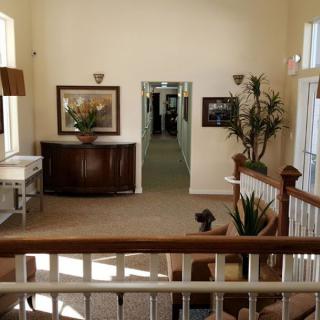 A cozy interior hallway with artwork and plants adorning the walls.