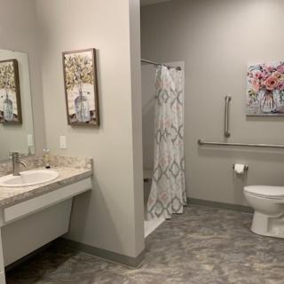 A modern, handicap-accessible bathroom featuring a sink with a mirror, a toilet with grab bars, and a shower area.