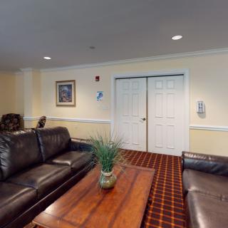 A cozy living room with leather sofas, a wooden coffee table, and a decorative plant.
