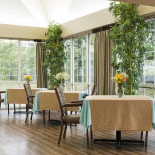 A bright and airy dining area with tables, chairs, and greenery near large windows.
