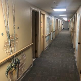 A well-lit hallway featuring multiple doors and a decorative plant along the wall.