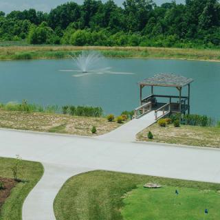 A serene landscape featuring a pond with a wooden gazebo surrounded by greenery.