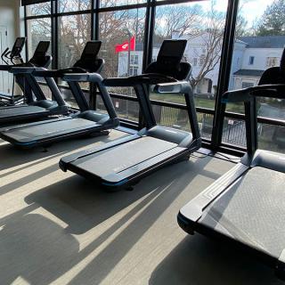 A row of treadmills in a sunlit gym with large windows.