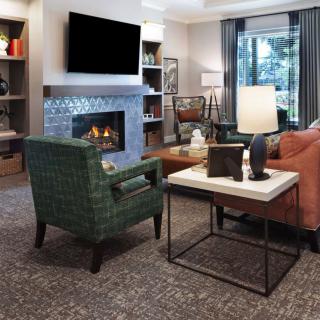 Cozy living room with a fireplace and modern decor.