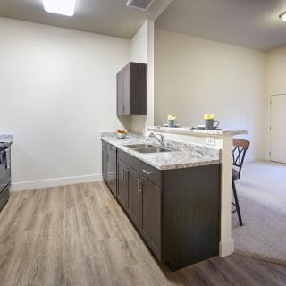 A modern kitchen with a sleek design, featuring dark cabinets and light wood flooring.