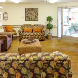 A cozy living room with patterned sofas, wooden flooring, and decorative plants.