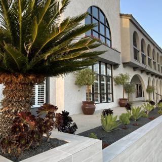 A modern building with large windows and landscaped surroundings featuring palm trees.