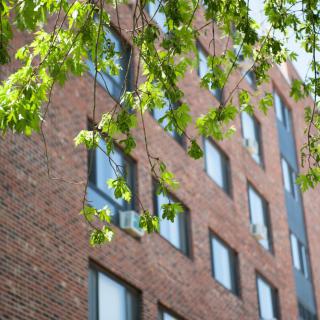 A brick building with multiple windows, partially obscured by green tree leaves.