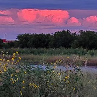 A serene landscape at sunset, showcasing vibrant clouds and wildflowers by the water.