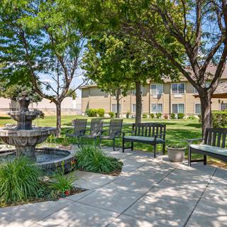 A peaceful garden scene with benches surrounding a fountain under the shade of trees.