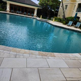 A tranquil outdoor pool surrounded by lounge chairs and greenery.