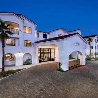 A well-lit hotel entrance with palm trees at night.