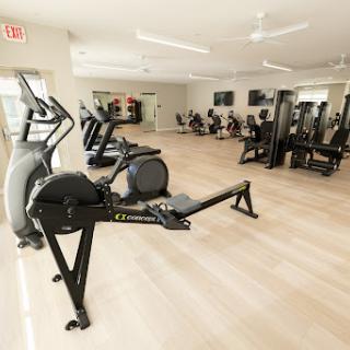 A well-equipped gym featuring various cardio and strength training machines, designed for a modern workout experience.