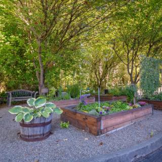 A scenic garden featuring raised beds surrounded by lush trees and a cozy bench.