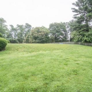 A lush green field surrounded by trees.