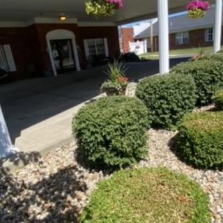 A neatly landscaped entrance with trimmed bushes and pebbled ground leading to a building.
