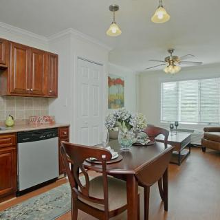 A modern open floor plan with a kitchen and dining area featuring wooden cabinets and ample natural light.