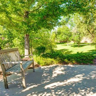 A quiet park scene with a wooden bench surrounded by lush greenery and dappled sunlight.