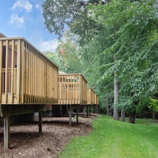 A serene wooden deck nestled among lush greenery.