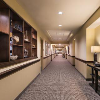 A well-lit hotel hallway with decorative shelving and carpeted flooring.
