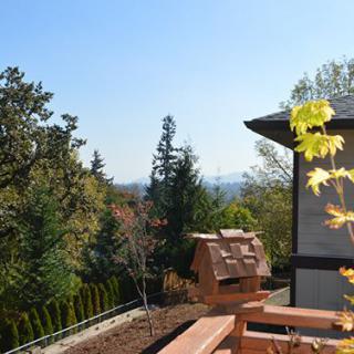 A sunny garden view featuring trees and a wooden birdhouse.