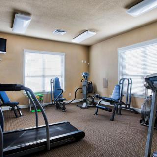 A brightly lit gym with various exercise equipment including treadmills and stationary bikes.