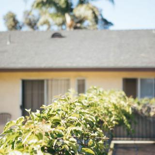 A house with a green hedge in the foreground, set against a clear sky.