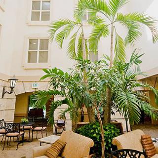An inviting indoor atrium with lush palm trees and comfortable seating arrangements.