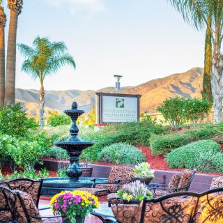 A serene garden setting with a central fountain, surrounded by palm trees and mountains in the background.