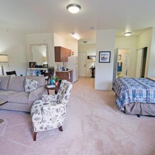 A cozy studio apartment with an open layout combining the living and sleeping areas.