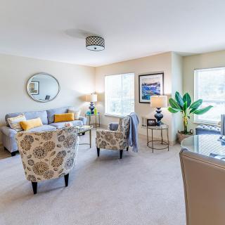 A bright and modern living room featuring a comfortable sofa, patterned chairs, and a large indoor plant.