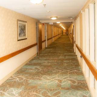 A well-lit hotel corridor with patterned carpet and framed artwork on the wall.