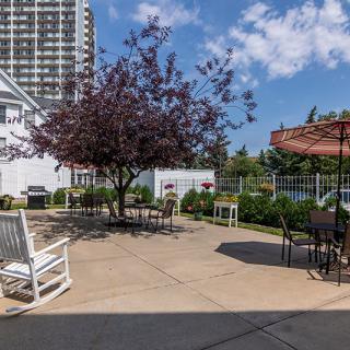 A tranquil outdoor patio area with chairs and tables, shaded by a leafy tree, set against a backdrop of a tall building.