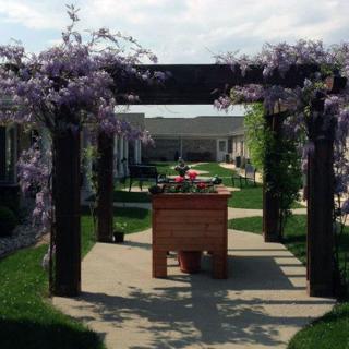 A serene garden pathway adorned with wisteria-covered pergolas.