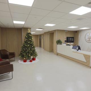 A festive reception area adorned with a Christmas tree, showcasing modern office decor.
