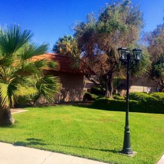 A well-maintained garden with palm trees and a lamp post on a sunny day.