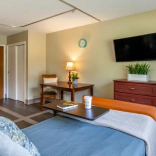 A cozy bedroom interior with a bed, wall-mounted TV, desk, and decorative plants.
