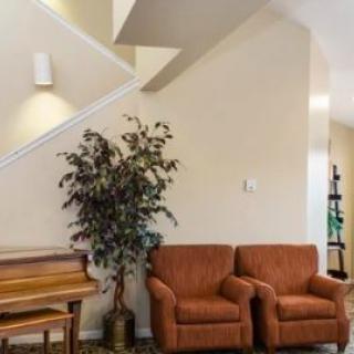 A cozy living room with two armchairs, a piano, and an indoor plant.
