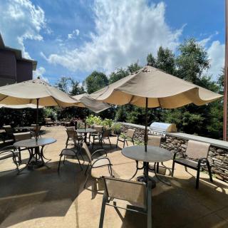 A sunny outdoor patio with tables and umbrellas, surrounded by trees.