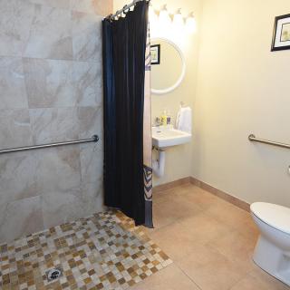 An accessible bathroom with a walk-in shower, toilet, and sink.