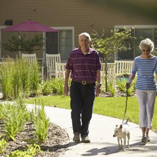 An elderly couple walking their dog along a garden path.